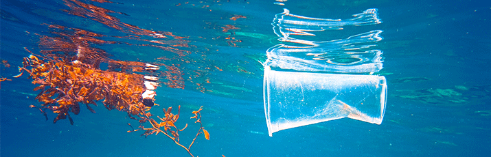 Plastikmüll in den Weltmeeren
